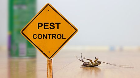 Pest Control Service
